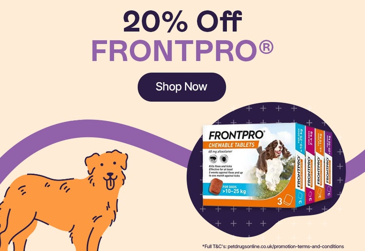20% Off Frontpro*