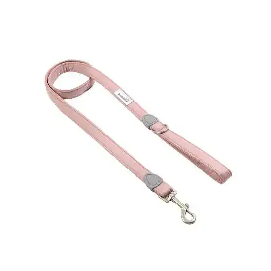 Doodlebone Dinky Dog Lead for Small Dogs & Puppies 1.2m Chalky Pink 18818