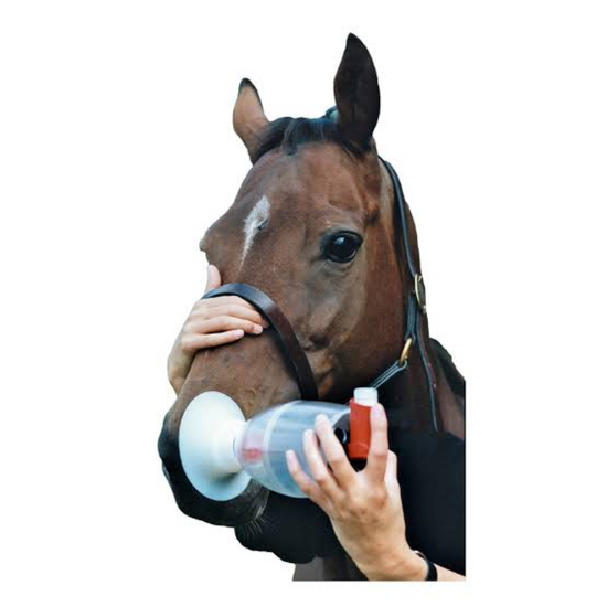 Kruuse Inhaler Mask for Horses 21150
