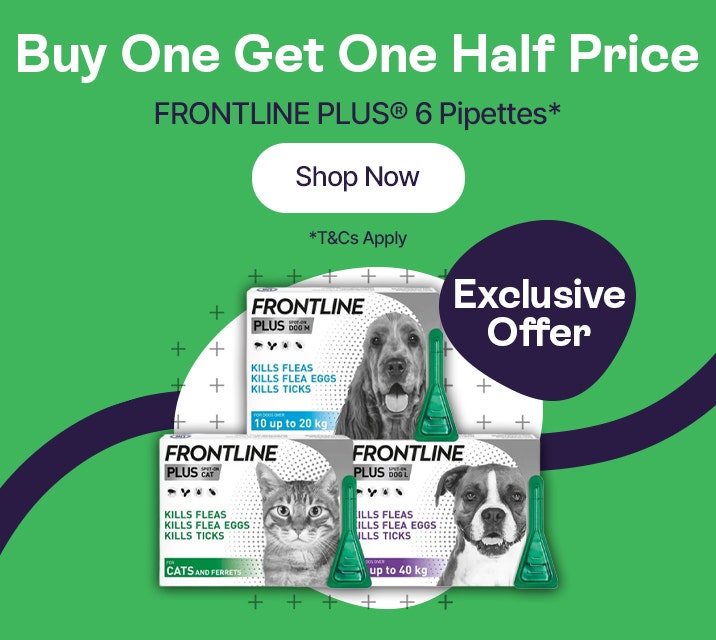Buy One Get One Half Price - Frontline Plus 6 Pipettes*