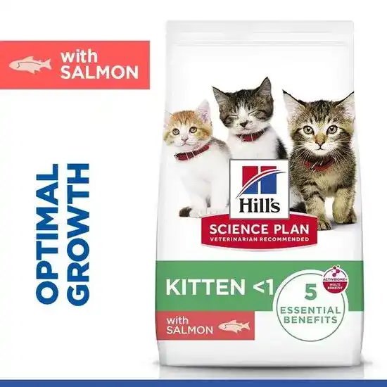 Hill's Science Plan Kitten Dry Cat Food with Salmon 19493