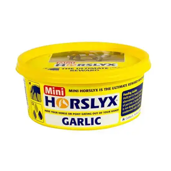 Mini Horslyx Garlic Horse Balancer Lick 19856