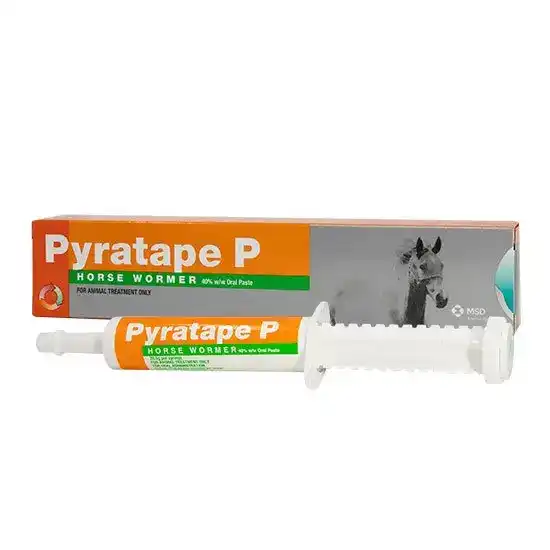 Pyratape P Oral Paste Wormer for Horses 40% w/w 1388