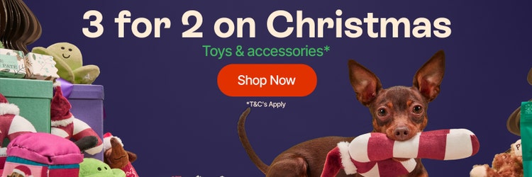 3 for 2 on Christmas toys and accessories*