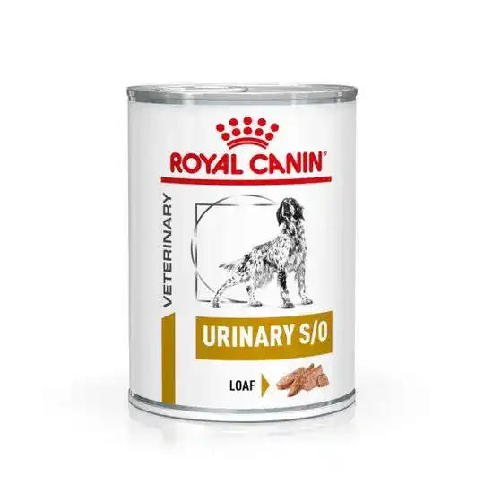 ROYAL CANIN Veterinary Health Nutrition Urinary S/O Wet Dog Food Loaf 12 x 410g Cans 15904