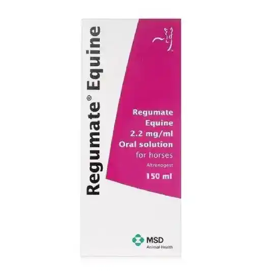 Regumate Equine Oral Solution for Horses 2.2mg/ml 1005