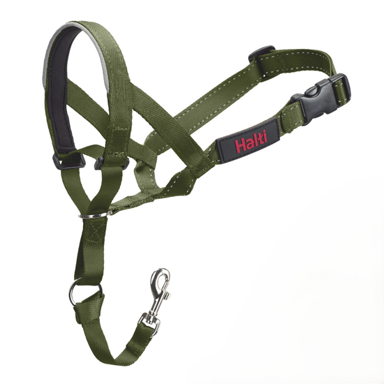 Halti Dog Headcollar Forest Green 18992