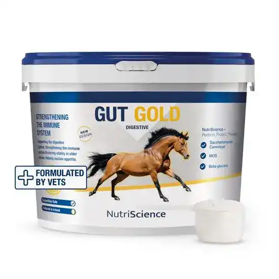 NutriScience Gut Gold Pre and Probiotic Digestive Supplement for Horses 18851