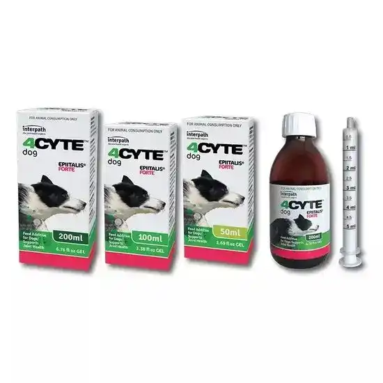 4CYTE Epiitalis Forte Joint Supplement Gel for Dogs 1129