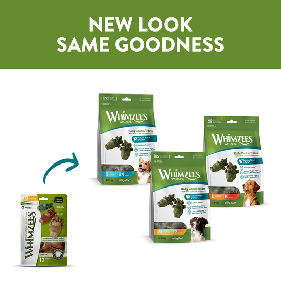 Whimzees Alligator Dental Treats for Dogs 11377