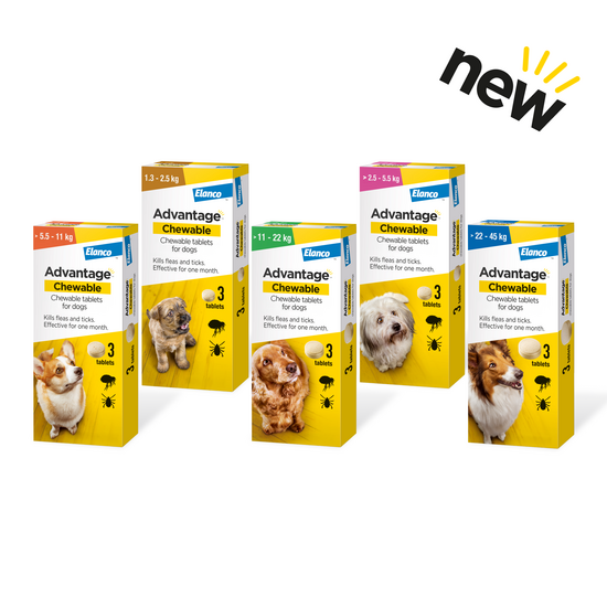 Advantage Chewable Tablets Flea & Tick Treatment for Dogs 18588