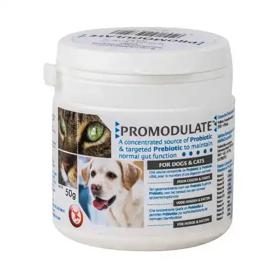 Promodulate Digestive Probiotic Supplement Powder for Cats & Dogs 2055