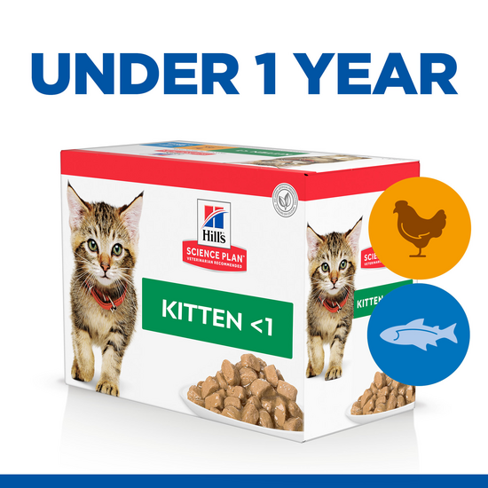 Hill's SCIENCE PLAN Kitten Wet Cat Food Multipack with Chunks in Gravy with Chicken & Ocean Fish 85g Pouches 2349