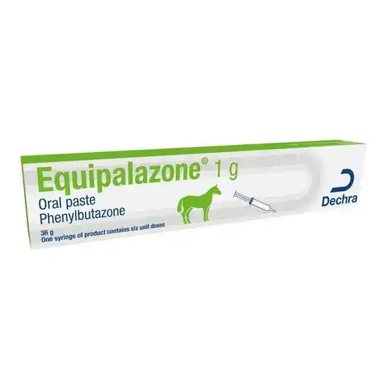 Equipalazone Oral Paste for Horses 1g 1193