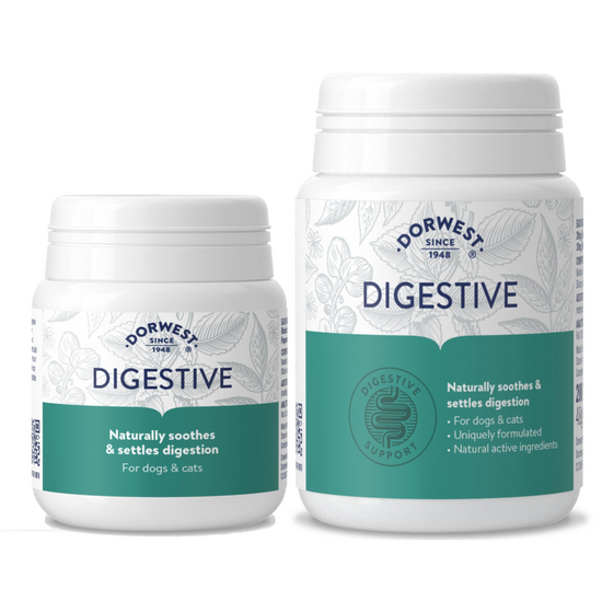 DORWEST Digestive Support Supplement for Dogs and Cats 1147