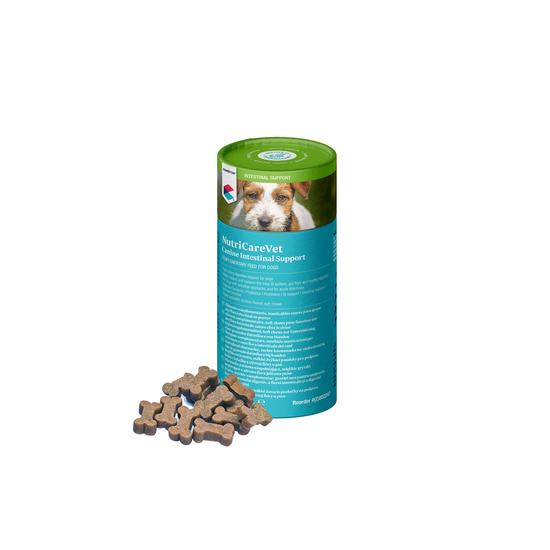 Covetrus NutriCareVet Intestinal Support Soft Chews for Dogs 16461
