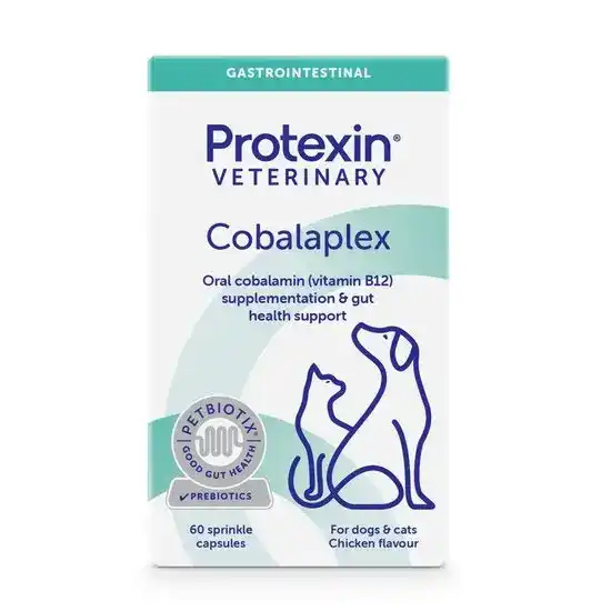 Protexin VETERINARY Cobalaplex (Vitamin B12 & B9) Cobalamin and Folate Support for Cats & Dogs 2259
