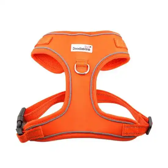 Doodlebone Adjustable Airmesh Dog Harness Tangerine 18830