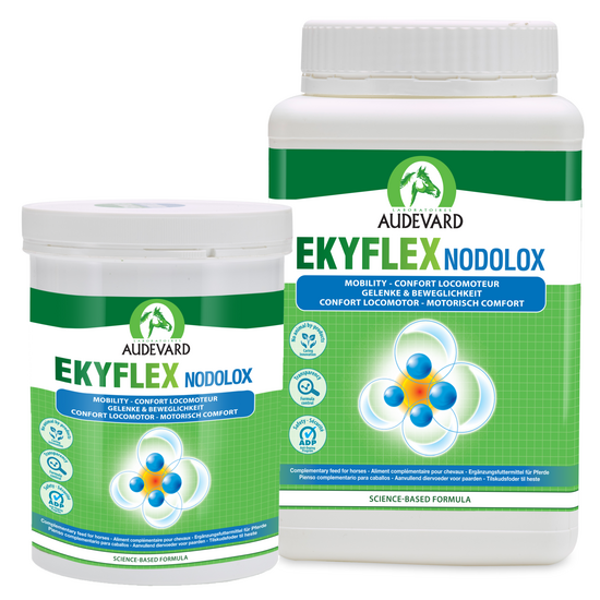 Audevard Ekyflex Nodolox Musculoskeletal Comfort and Mobility Nutritional Support Pellets for Sport Horses 11374