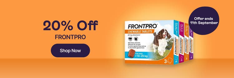20% off Frontpro