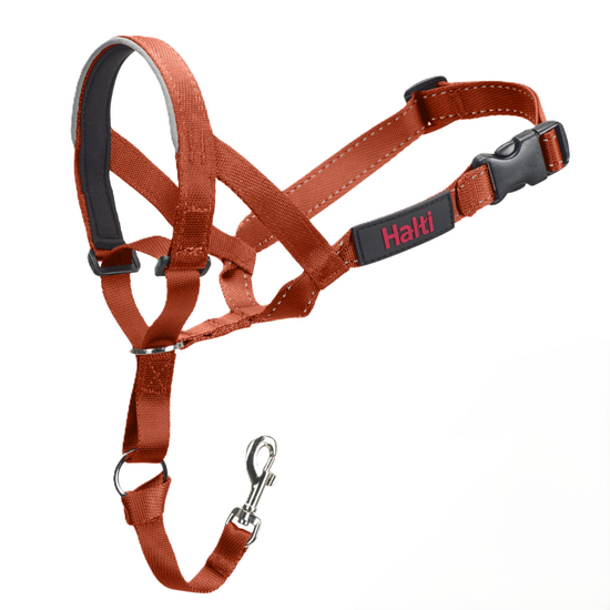Halti Dog Headcollar Burnt Orange 18991