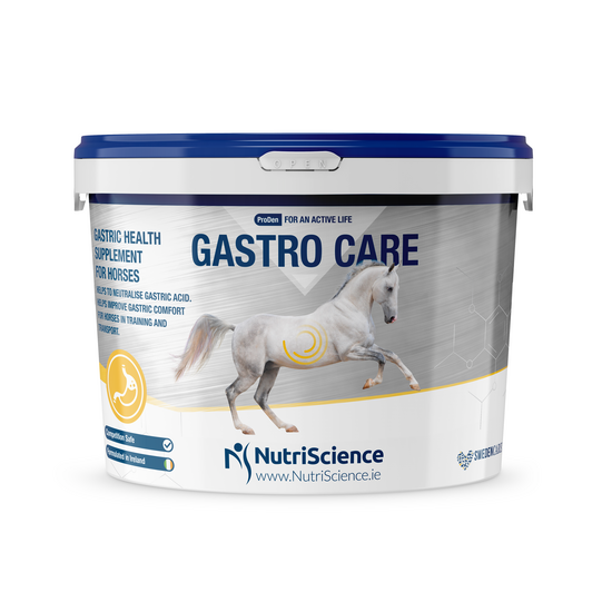 NutriScience Gastro Care Gastric Health Supplement for Horses 1206