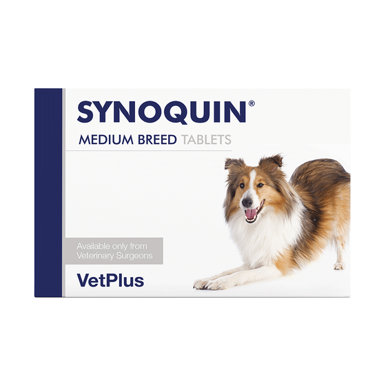 SYNOQUIN Medium Breed Joint Support Supplement for Dogs 914