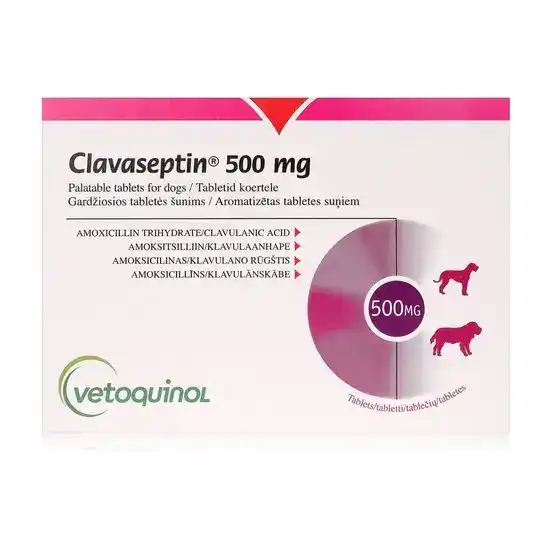 Clavaseptin Palatable Tablets for Dogs 500mg 2997