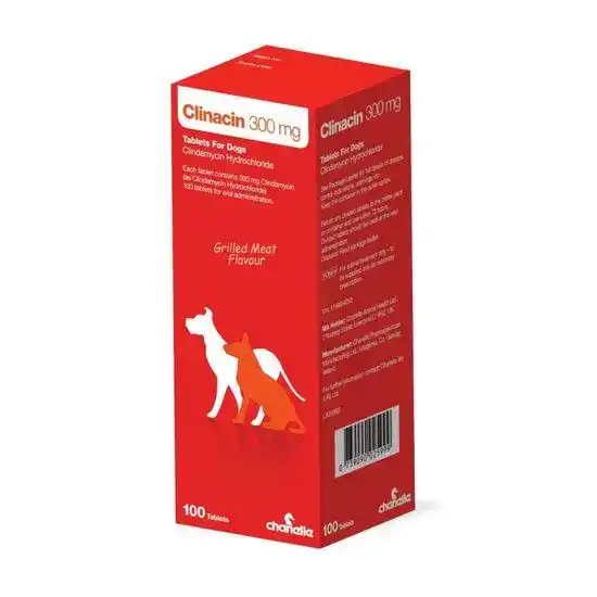 Clinacin Tablets for Dogs 300mg 19104