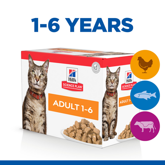 Hill's SCIENCE PLAN Adult Wet Cat Food Multipack with Chunks in Gravy with Chicken