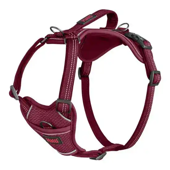 Halti Anatomy Dog Harness Magenta 18760
