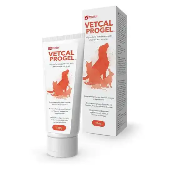 Vetcal-ProGel High Calorie Supplement with Vitamins & Minerals 3928
