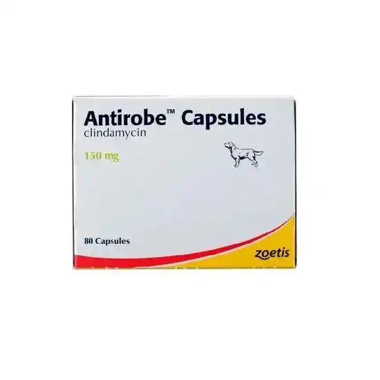 Antirobe Capsules for Dogs 150mg 2959