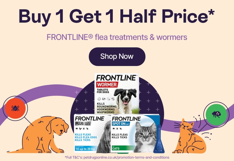 B1G1HP Frontline*