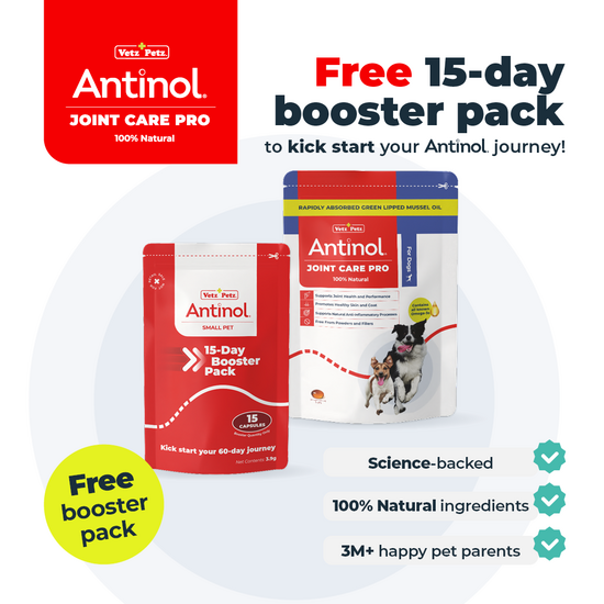 Antinol Joint Care Pro Soft Gel Capsules for Dogs with Free 15 Days Booster Pack 18938