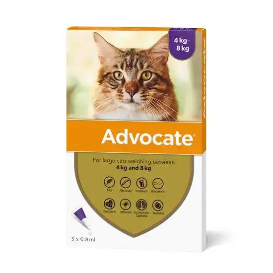 Advocate Spot-On Solution for Large Cats 80mg/8mg (4kg-8kg) 2949