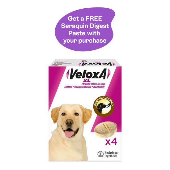 Veloxa XL Chewable Worming Tablets for Large Dogs 17.5kg-70kg 9229