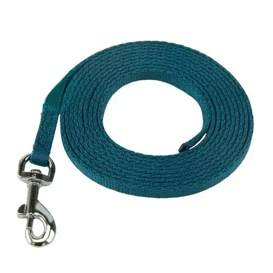 Coachi Puppy & Mini Dog Training Line Teal 2.5m 19638
