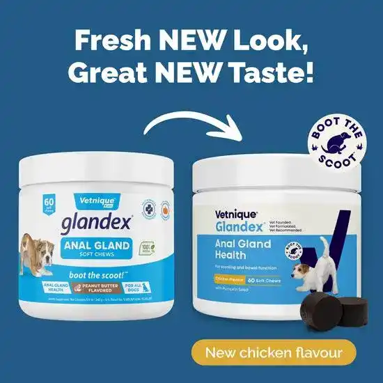 Glandex Anal Gland Support Peanut Butter Soft Chews for Dogs 11682
