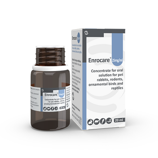 Enrocare Concentrate for Oral Solution for Ornamental birds Rabbits Reptiles Sma 19556