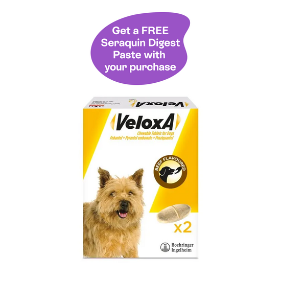 Veloxa Chewable Worming Tablets for Small and Medium Dogs 2.5kg-20kg 9228