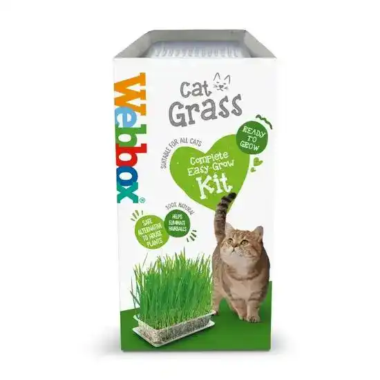 Webbox Easy Grow Cat Grass Kit 21109
