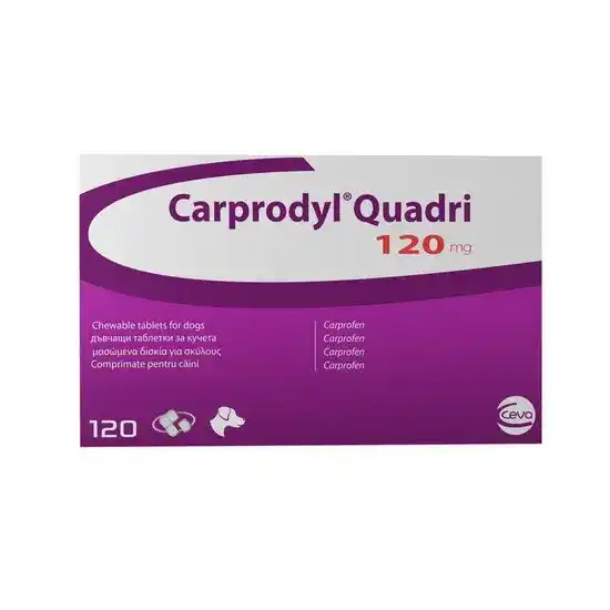 Carprodyl Quadri Chewable Tablets for Dogs 120mg 10628