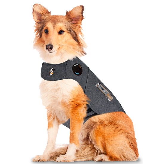 ThunderShirt Anxiety Calming Jacket for Dogs 2666