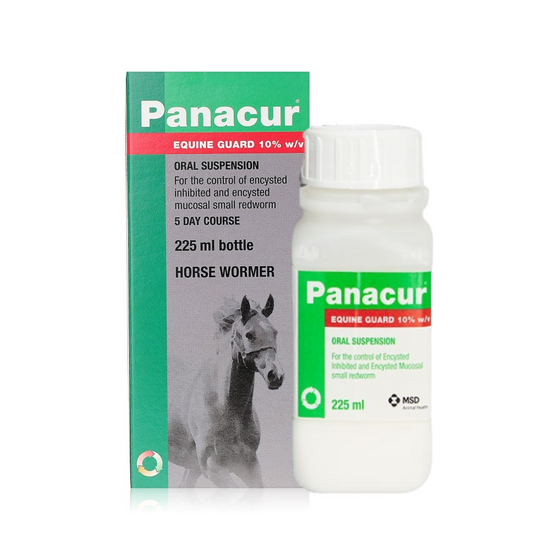 Panacur Equine Guard Oral Suspension Wormer for Horses 10% w/v 474
