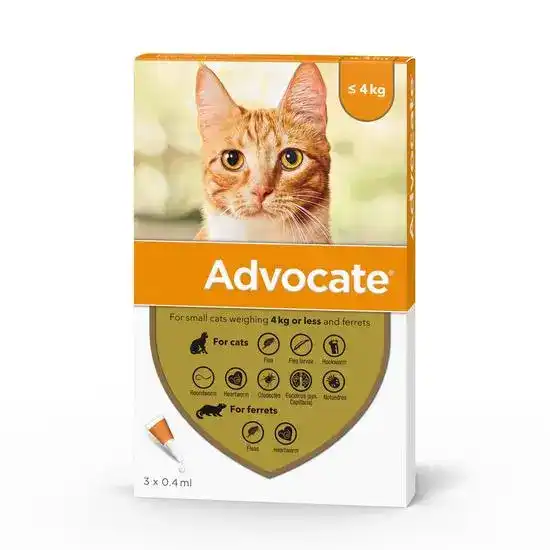 Advocate Spot-On Solution for Small Cats up to 4kg & Ferrets 40mg/4mg 480