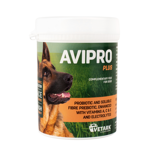 Avipro Plus Prebiotic & Probiotic Digestion Supplement Powder for Dogs 1057