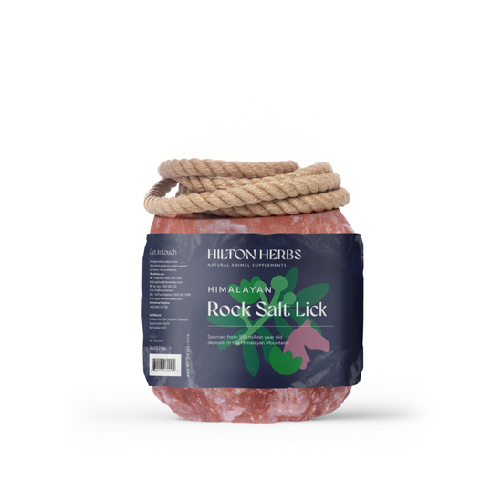Hilton Herbs Himalayan Rock Salt Lick for Horses and Ponies 1kg 11541