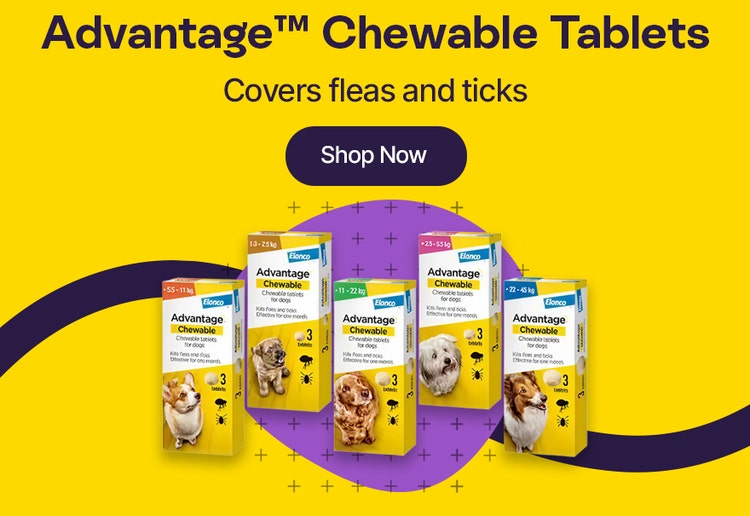 Advantage Chewable Tablets Covers fleas and ticks