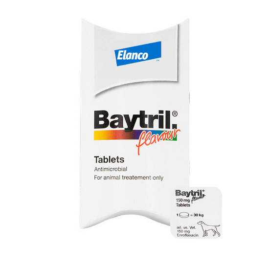 Baytril Flavour Tablets for Dogs 150mg 2967
